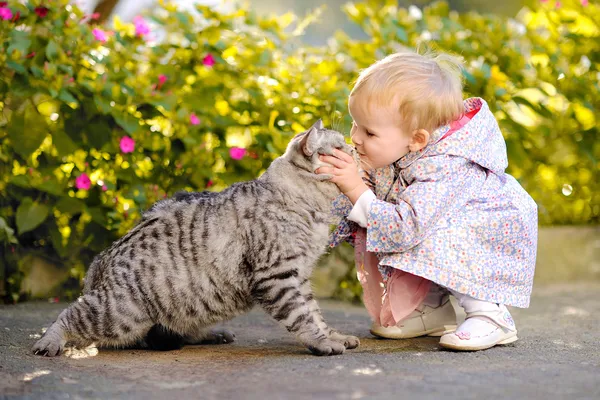 Portret van een klein meisje met een kat — Stockfoto