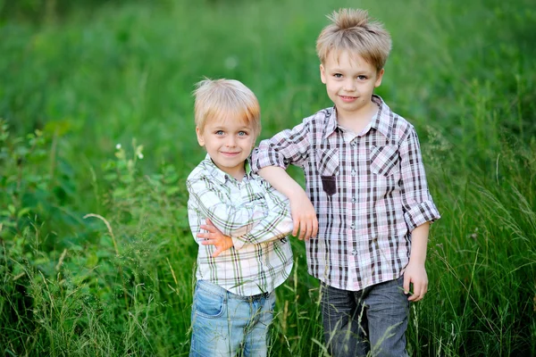 Portrait of two brothers summer in the country — Stock Photo, Image