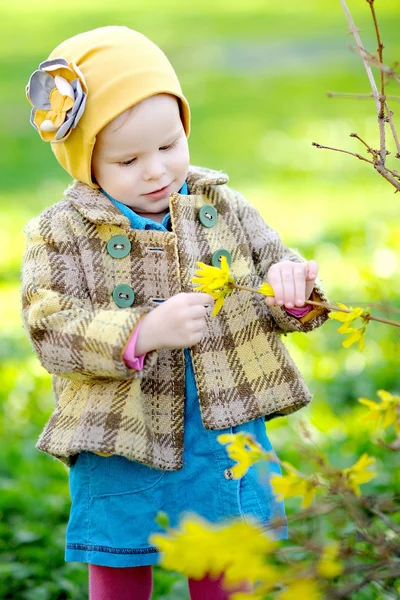 Portrait of little girl outdoors with forsythia — Stock Photo, Image