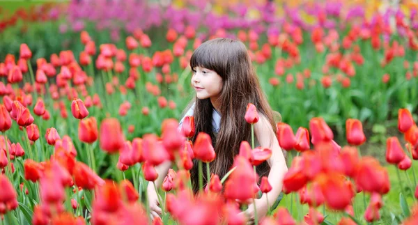 Ritratto di una bella bambina — Foto Stock