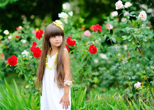 Retrato de una hermosa niña —  Fotos de Stock