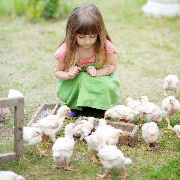 Portret van een klein meisje en kippen — Stockfoto