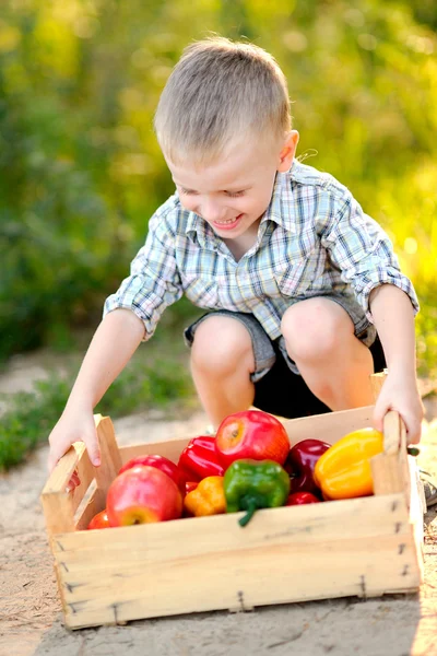 Portrait of little stylish boy outdoors — Stock Photo, Image