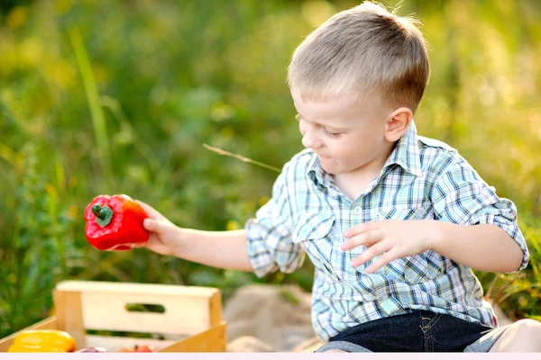 Portrait of little stylish boy outdoors — Stock Photo, Image