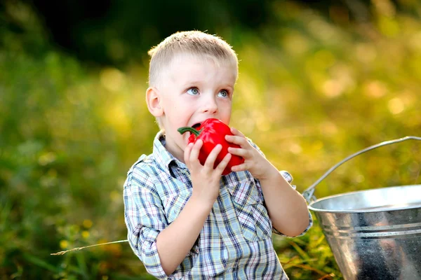 Portrait of little stylish boy outdoors — Stock Photo, Image