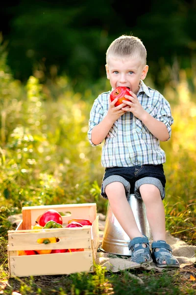 Portrait of little stylish boy outdoors — Stock Photo, Image