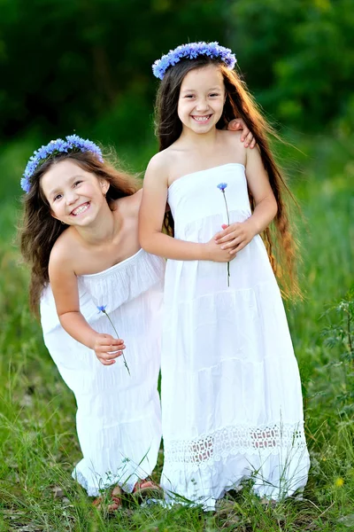 Portret van twee gelukkig vriendinnen in de natuur — Stockfoto