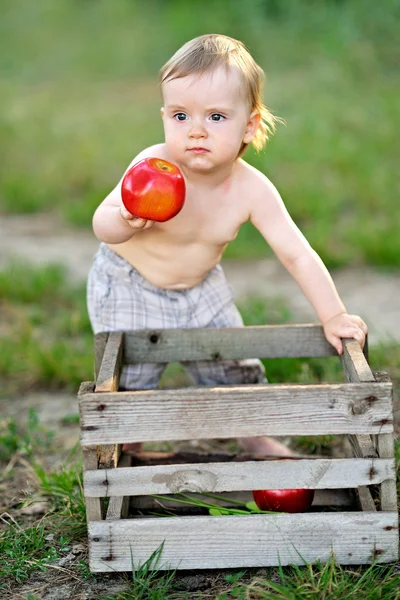 Portrait of little boy outdoors in summer — Stock Photo, Image