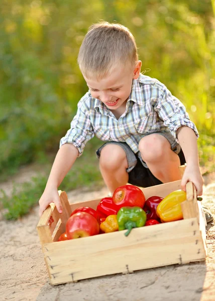 Portrait of a boy on vacation in summer camp — Stock Photo, Image