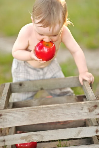 Portrait of a boy on vacation in summer camp — Stock Photo, Image