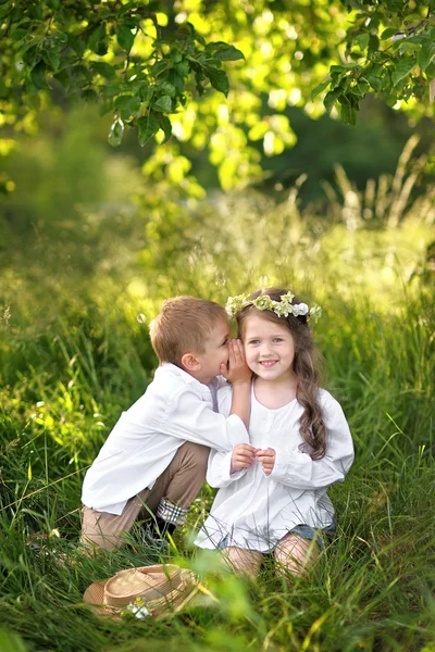 Portrait of a boy and girl in summer — Stock Photo, Image