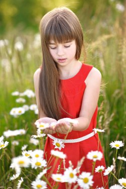 Papatya ile güzel ve küçük bir kız portresi