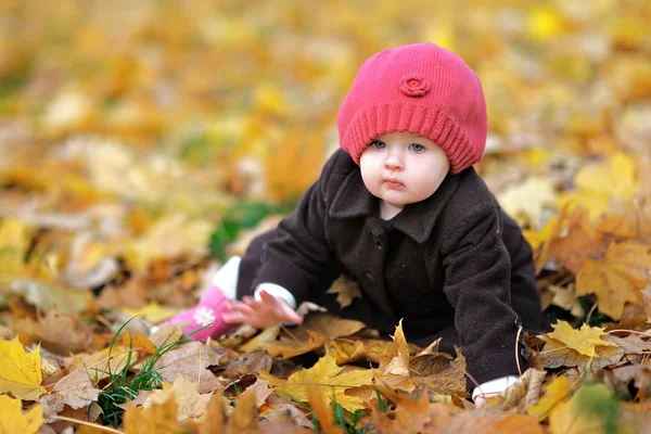 Portrét holčičky v parku na podzim — Stock fotografie
