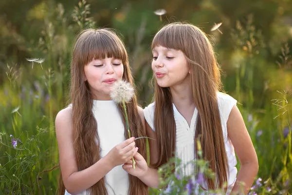 Portrait of two young girlfriends with flowers — Stock Photo, Image