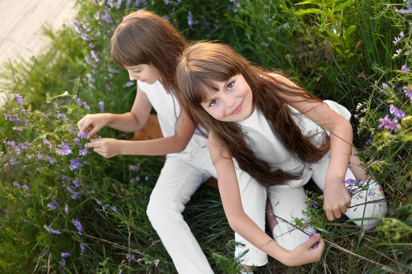 Портрет двух девушек в лесу — стоковое фото
