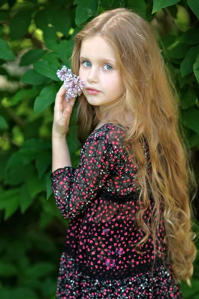 Portret van een mooi klein meisje — Stockfoto