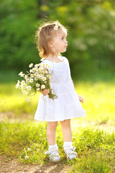 Retrato de uma linda menina com camomila — Fotografia de Stock