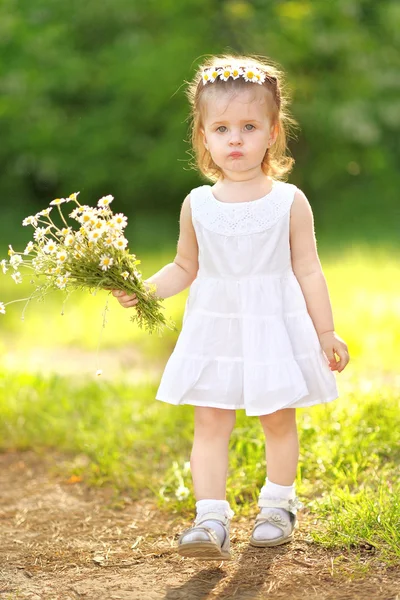 一个美丽的小女孩，洋甘菊的肖像 — 图库照片
