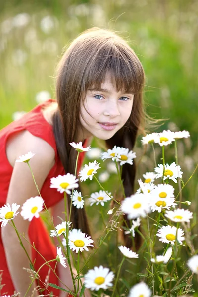 Retrato de uma linda menina com camomila — Fotografia de Stock