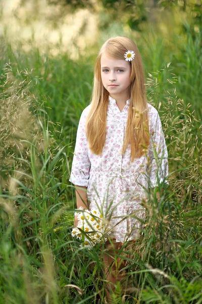 Portret śliczną dziewczynkę z rumianku — Zdjęcie stockowe