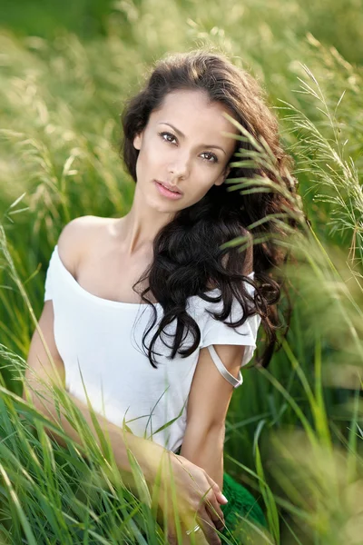 Beautiful elegant brunette girl in a field — Stock Photo, Image