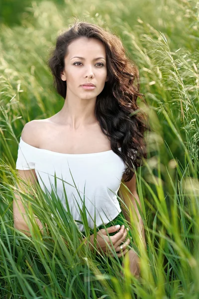 Mooie elegante brunette meisje in een veld — Stockfoto