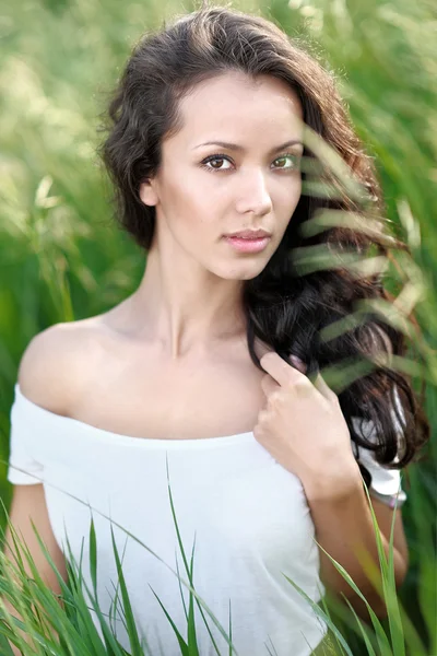 Krásná elegantní brunetka v poli — Stock fotografie