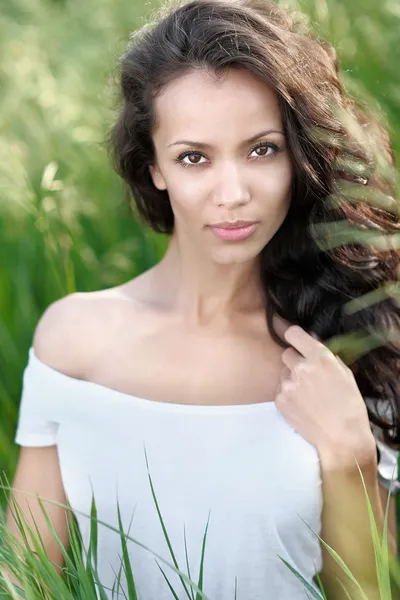 Vackra eleganta brunett tjej i ett fält — Stockfoto