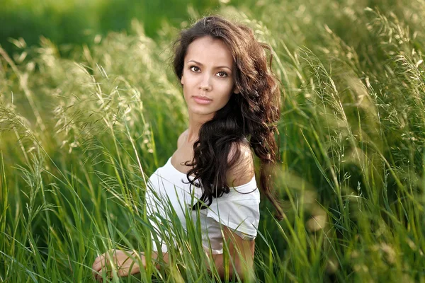 Mooie elegante brunette meisje in een veld — Stockfoto