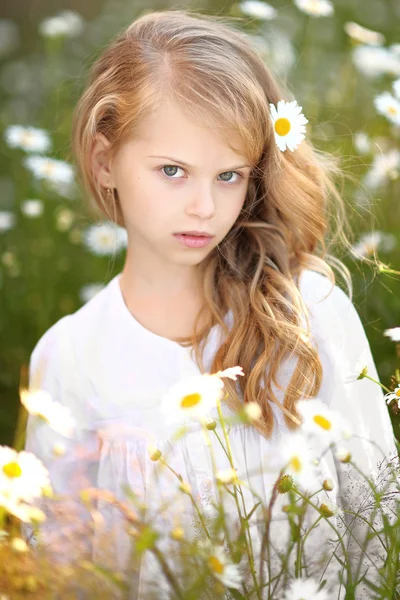 Portrait of a beautiful little girl with chamomile — Stock Photo, Image