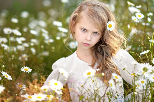 Portrait of a beautiful little girl with chamomile — Stock Photo, Image