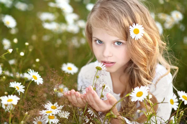 Πορτρέτο του ένα όμορφο μικρό κορίτσι με χαμομήλι — Φωτογραφία Αρχείου