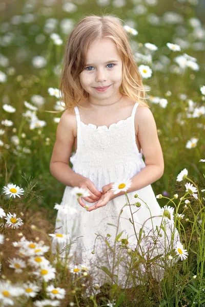 Portrait of a beautiful little girl with chamomile — Stock Photo, Image