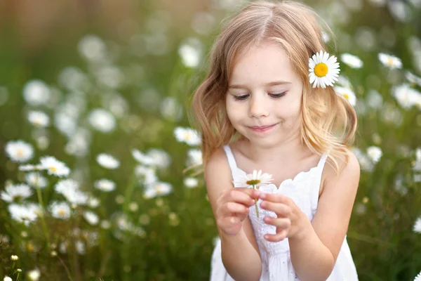 Portrait of a beautiful little girl with chamomile — Stock Photo, Image