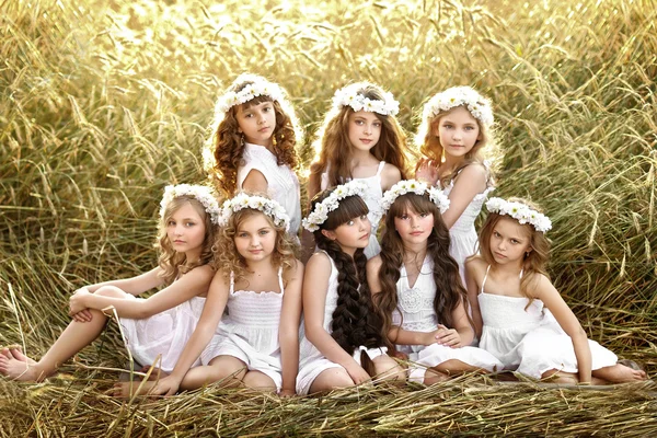 Portrait of a beautiful girl in a field in wreaths — Stock Photo, Image