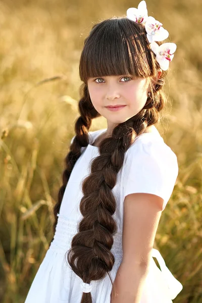 フィールドの美しい少女の肖像画 — ストック写真