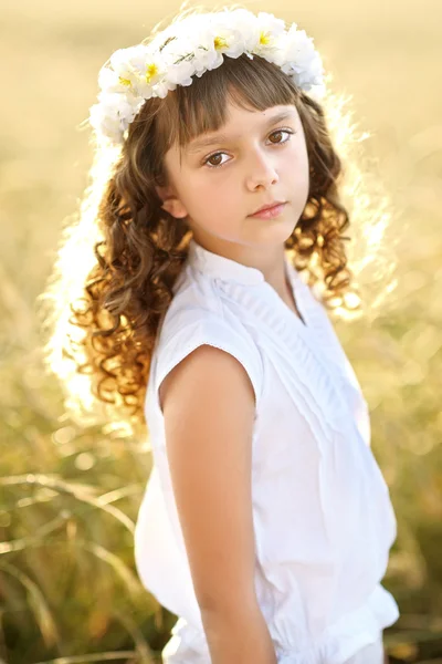 Portrait of a beautiful little girl in a field — Stock Photo, Image