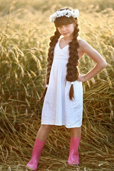 Portrait of a beautiful little girl in a field — Stock Photo, Image