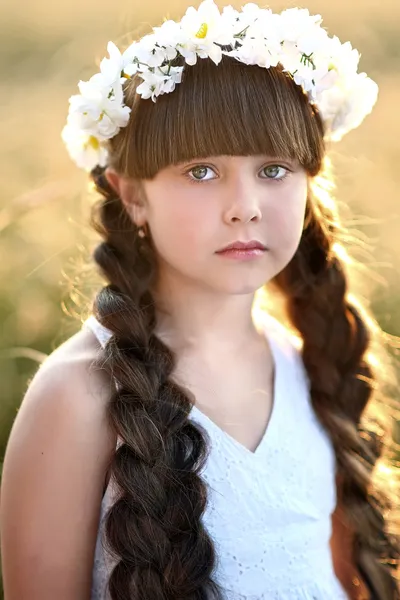 Portrait of a beautiful little girl in a field — Stock Photo, Image