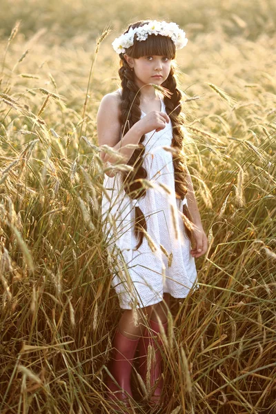 Portrett av en vakker liten pike på et jorde – stockfoto