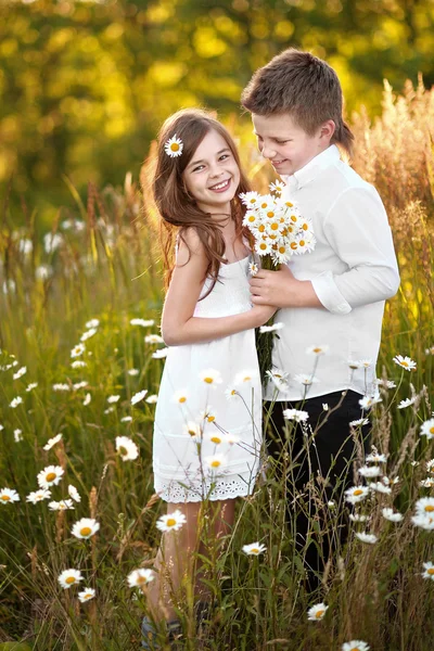 Portrait of a boy girl in a summer with daisies — Stock Photo, Image