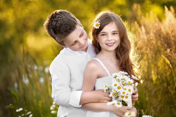 Porträt eines Mädchenjungen im Sommer mit Gänseblümchen — Stockfoto