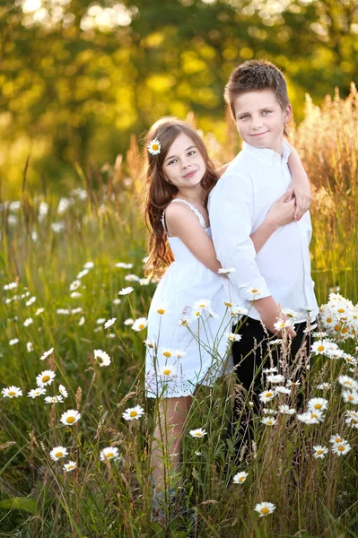 Portrait of a boy girl in a summer with daisies — Stock Photo, Image