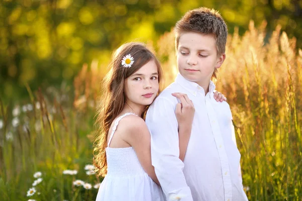 Portrait of a boy girl in a summer with daisies — Stock Photo, Image