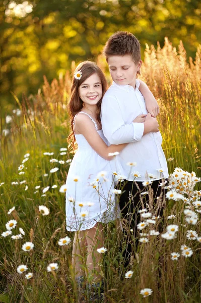 Portrait of a boy girl in a summer with daisies — Stock Photo, Image