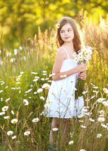 Portrait of a beautiful little girl with chamomile — Stock Photo, Image