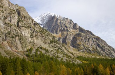 manzara