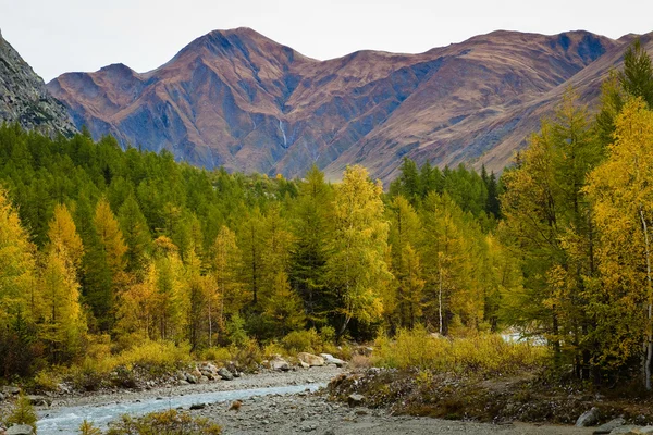 Landscape — Stock Photo, Image