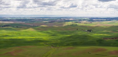Palouse