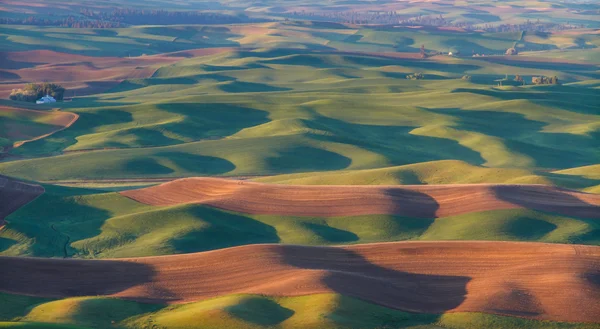 Palouse